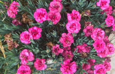 La Huberdière - Foto 12