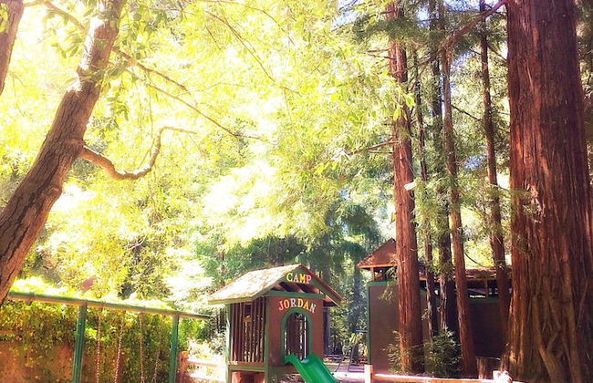 Redwoods River Resort - Foto 54
