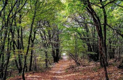 Appartamento Aris - Foto 15