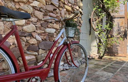 El Secanet - Foto 11