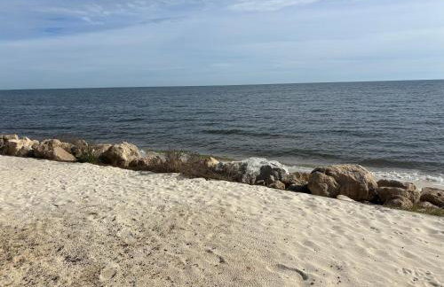 Toes in the Sand- a Gulf-Front Paradise - Foto 51