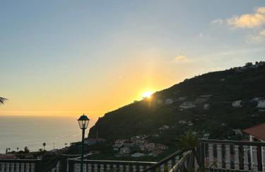 Tropical Garden - Photo 10