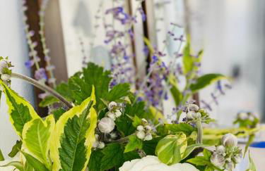 Green House in campagna - Foto 34