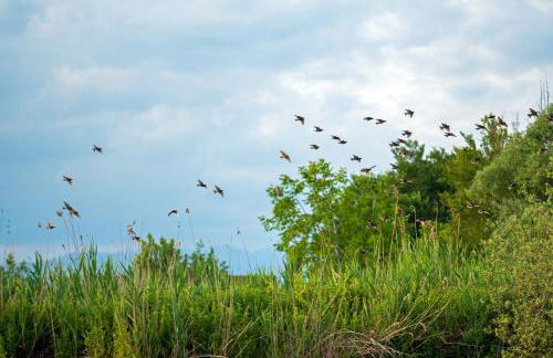 Il Gesuita - Foto 32