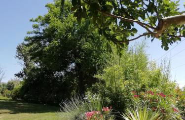 Le gîte du Moulin - Foto 60