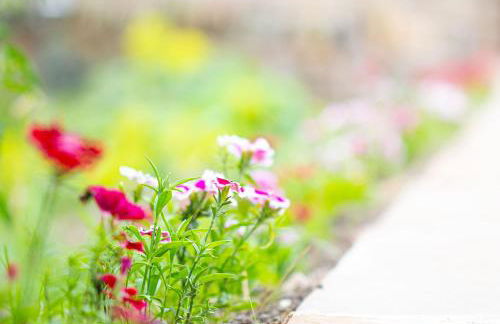 Hartcliffe Retreat - Foto 31