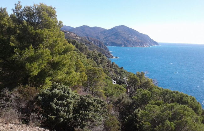 Lecci Di Soviore - Foto 42