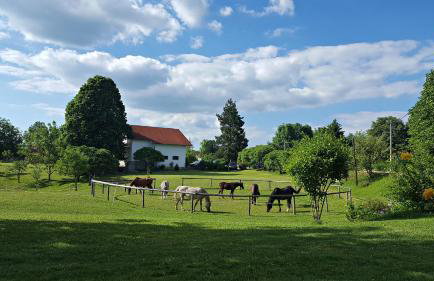 Apartment Lipa - Foto 30