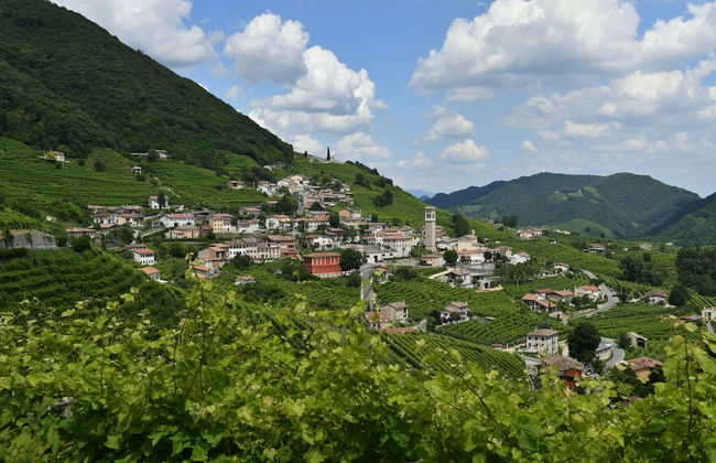 Agriturismo Crodi - Foto 37