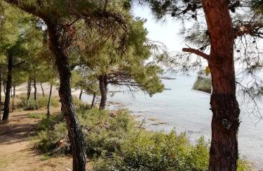 F & B Summer Collection - Holiday Flats - Foto 52