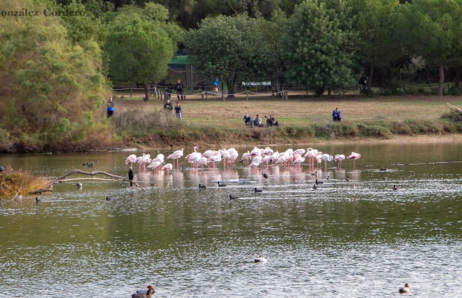 Vivienda Rural el Retorno - Foto 34