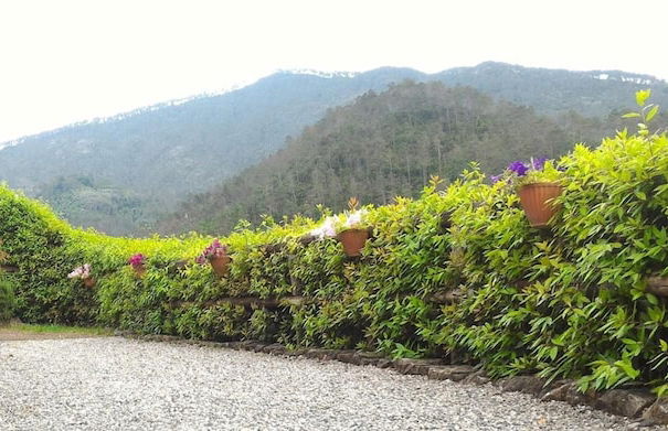 Agriturismo La Quiete - Foto 45