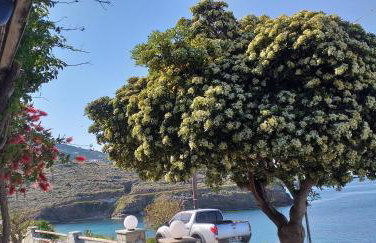 Marisini Sea View - Foto 28