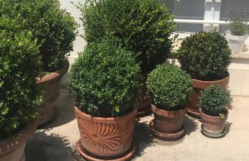 La Casa di Zia Rita - Foto 15