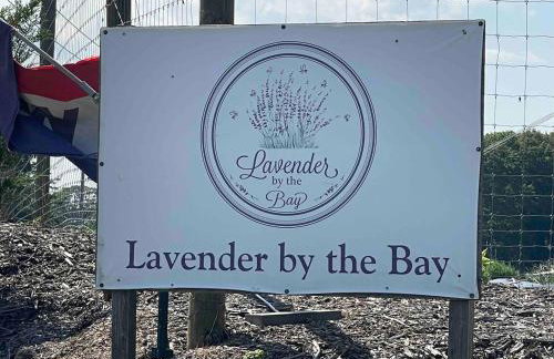 Modern Farmhouse Retreat North Fork Wine Country - Foto 63