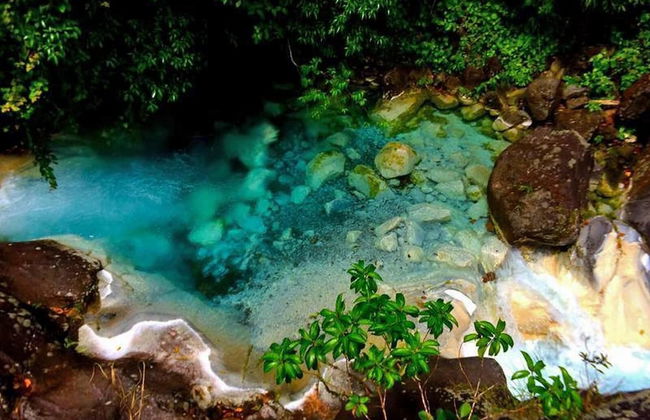 Impressively designed and decorated 3rd-floor space overlooking pool in Coco - Photo 28