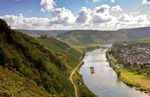 Mosel Panorama - Foto 56