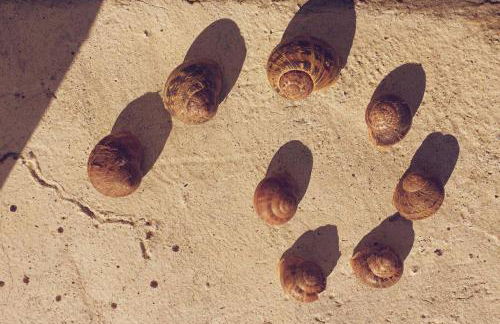 Tana di Zia Nature, Yourself, Love - Foto 62