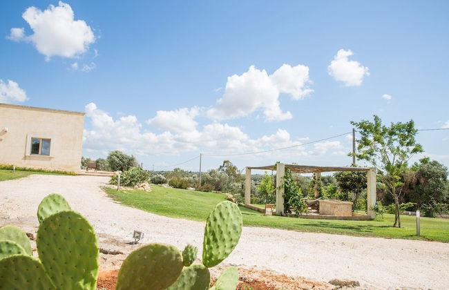 Azienda Agricola Spirdo - Foto 46