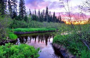 Off-Grid Cabin Nestled Among Nature with Lovely Landscape Views in Maine - Foto 25