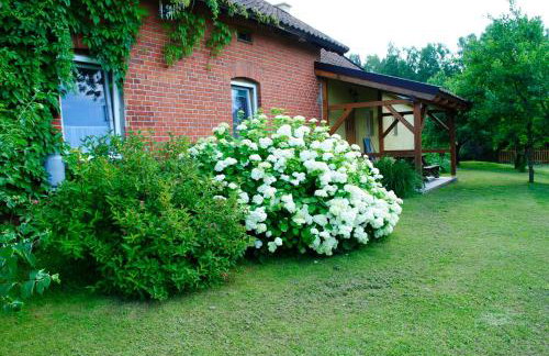 Zielony Gaj - Photo 34