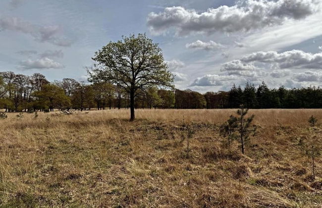 Hoenderloo Getaway With Pool - Foto 38