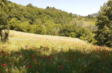 Agriturismo Marcofrate, a Retreat in the Nature - Foto 39
