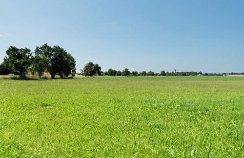 Ferienwohnung Hagen - Foto 26