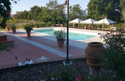 Agriturismo Ai Mandrioli - Foto 19