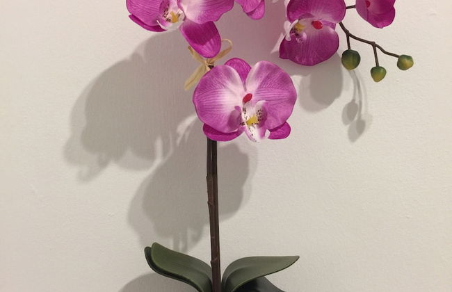 The Abberley - Foto 13