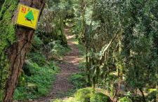 Duplex La Vinya - Foto 47