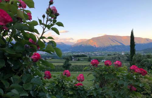 DAS MATSCHER Residence & Garden Hotel - Foto 41