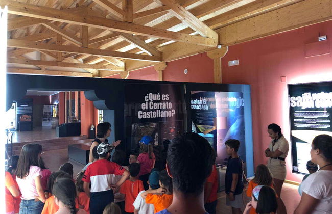 Biglietti per il Museo del Cerrato Castigliano - Foto 7