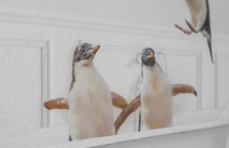 Centrally Located 2 BED in the Heart of NMB - Foto 24