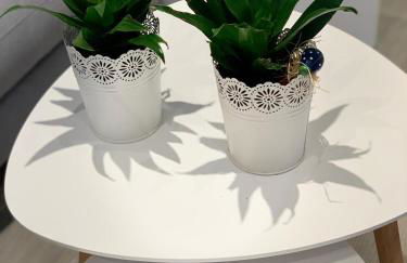 Apartamentos Nenufar - Photo 7