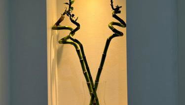 Studio Siana - Photo 5