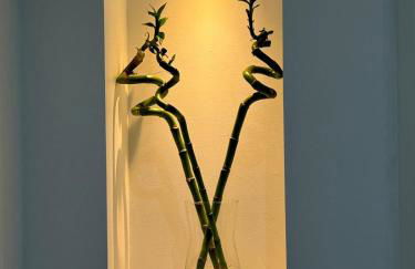 Studio Siana - Foto 5