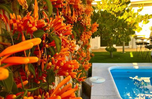 Suite Breeze - Private Heated Pool - Foto 13