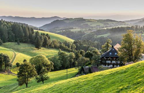Ferienwohnungen Hirschen - Foto 63