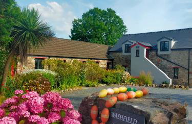 Milking Shed Cottage - Foto 21