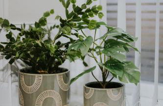 BlueSeaView Apartment with fabulous sea views - Foto 19