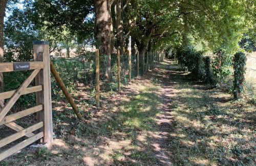 Gîte confortable à la campagne, 2 chambres, vue dégagée - FR-1-622-118 - Photo 30