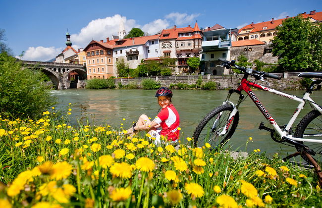 Superior # 15 mit IR-Sauna & Sprudelbad - Photo 26