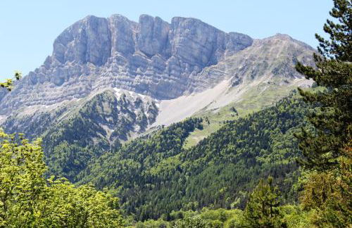 Le Veymont - Foto 15