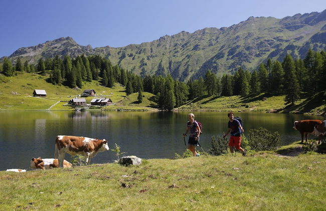 Attractive Apartment Near ski Lift - Foto 30