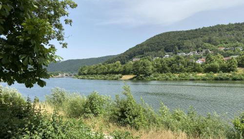 Holiday Home Tiny Haus Christas Angler-Oase by Interhome - Foto 5