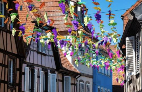 Appartement chaleureux et cocooning à Barr - Escapade chez Valentine - Photo 22