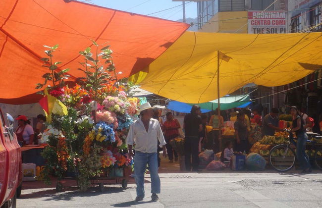 Tlacolula de Matamoros, San Jerónimo Tlacochahuaya e Yagul - Foto 4