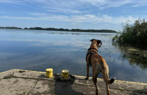 Ferienhaus Sieroslaw polnische Ostsee mit Kamin - Photo 45