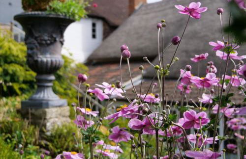 Pilgrim Corner - Photo 26